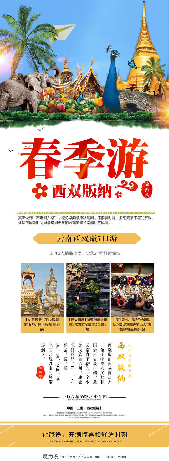 旅行社春季游旅游季云南西双版纳促销宣传展架